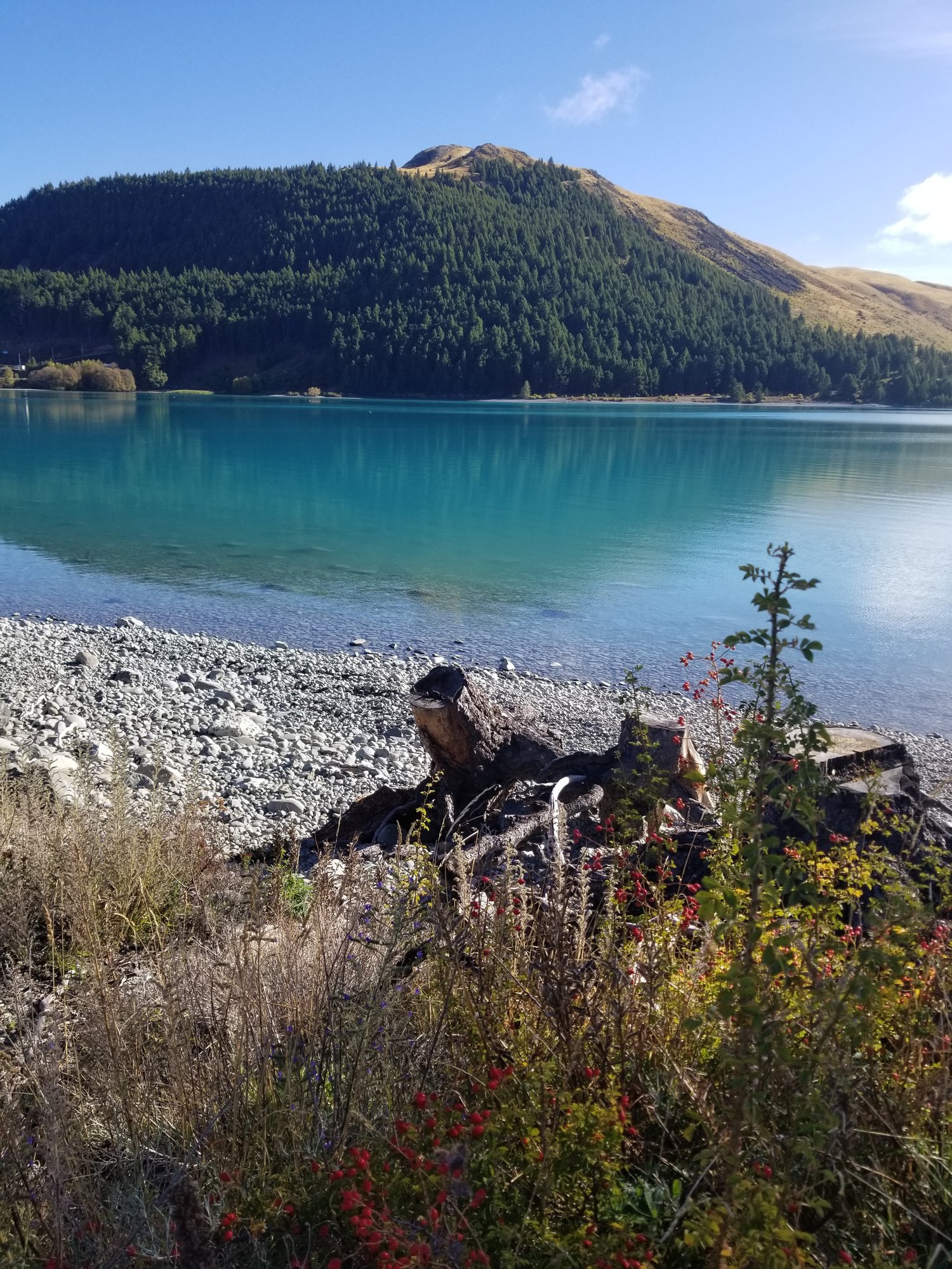 tekapo